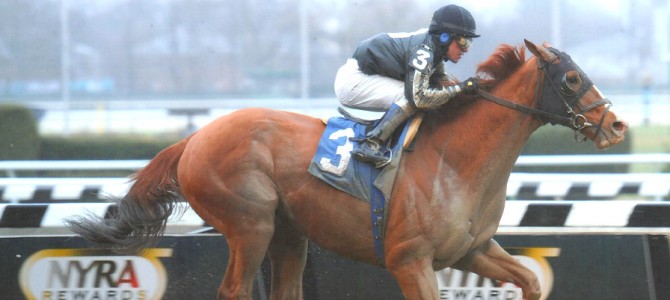 Quick Money Runs 1st Place @ Aqueduct On 12/6/13