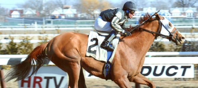 Quick Money runs 1st Place @ Aqueduct On 3/8/14