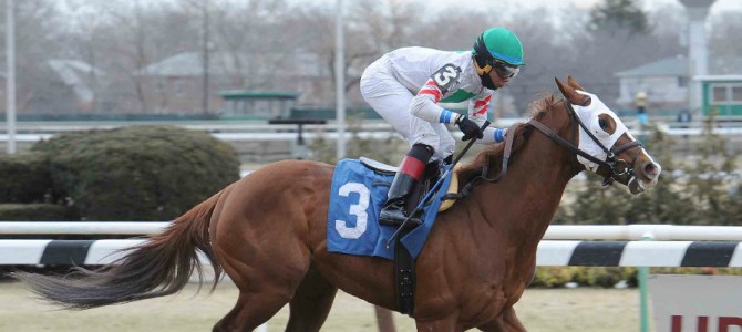 Gypsum Johnny runs 1st Place @ Aqueduct On 3/15/2015