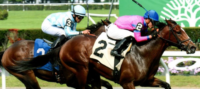 Hotinthehamptons runs 1st Place @ Belmont On 10/9/2015