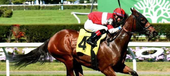 Splendid Gold runs 1st Place @ Belmont On 10/7/2015