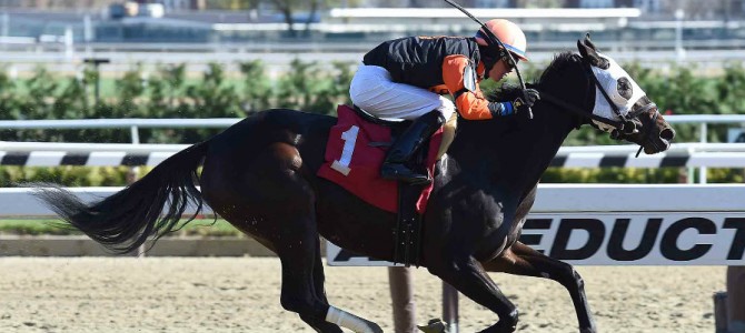 B Three runs 1st Place @ Aqueduct On 11/14/2015