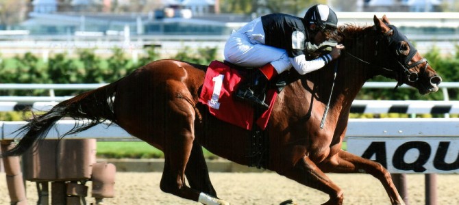 Egyptian Magic runs 1st Place @ Aqueduct On 11/13/2015