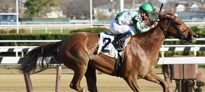 Half Dreamin runs 1st Place @ Aqueduct On 11/27/2015