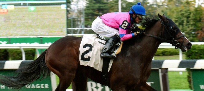 Matt King Coal runs 1st Place @ Belmont On 10/29/2015