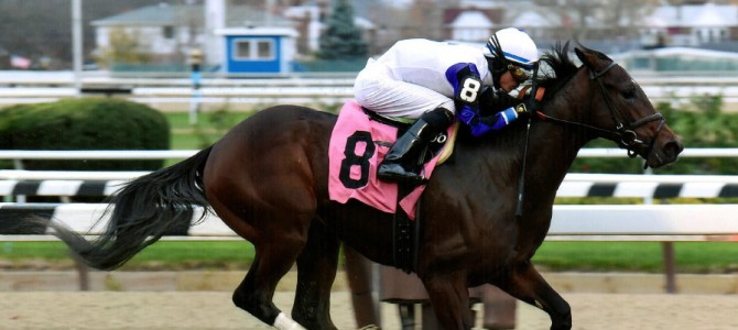 Seymourdini runs 1st Place @ Aqueduct On 11/22/2015