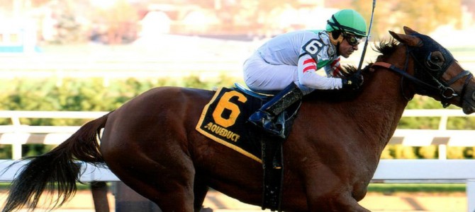 Sheriffa runs 1st Place @ Aqueduct On 11/15/2015