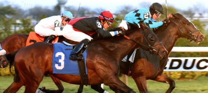 E J’s Legacy runs 1st Place @ Aqueduct On 11/29/2015