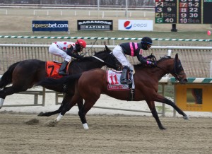 Kid Cruz - 2/13/16 - Laurel Park