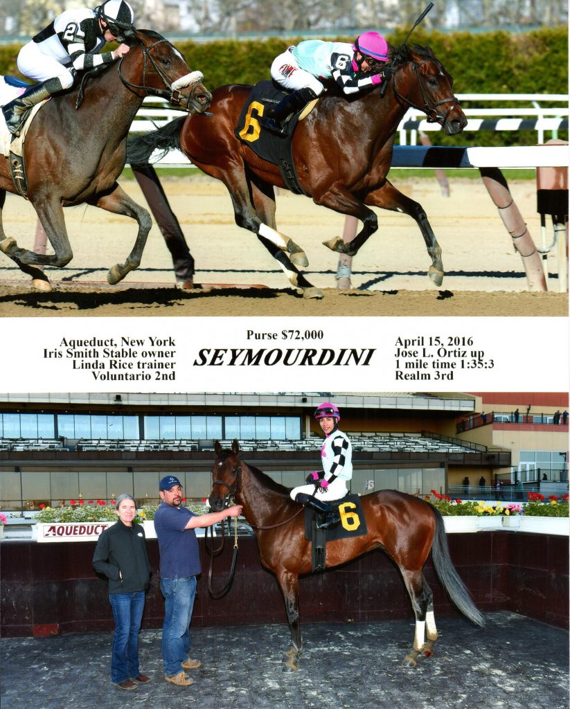 Seymourdini-4-15-16-823x1024.jpg