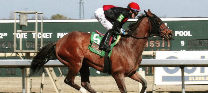 Afleet Skier Wins @ PARX On March 7th, 2016