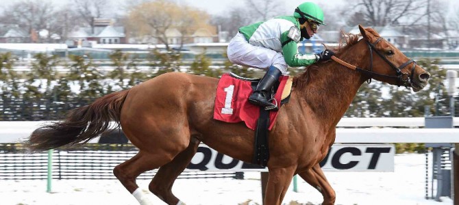 Half Dreamin Wins @ Aqueduct On March 4th, 2016