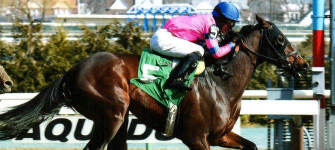 Matt King Coal Wins @ Aqueduct On March 6th, 2016