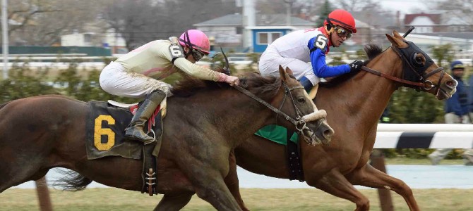 Pretension Wins @ AQU On March 13th, 2016