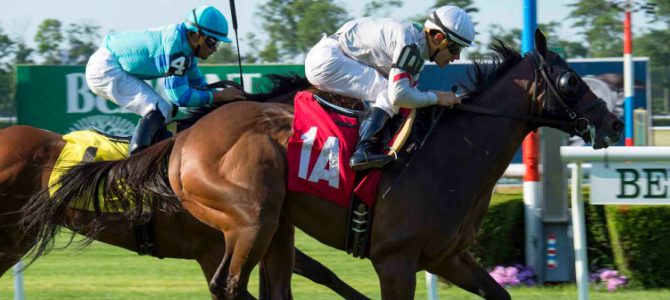 Altar Boy Wins @ BEL On June 24th, 2016