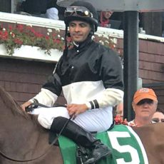 Voodoo Song Earns Four-Star Rating at Saratoga