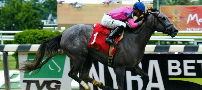 Downtown Mama Wins 3 out of 3 Starts! Downtown Mama Wins 3 out of 3 Starts!