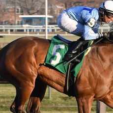 Rice Earns Seventh NY-Bred Trainer Title