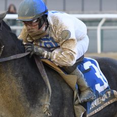 Montauk Traffic Goes Last to First in Jimmy Winkfield S.