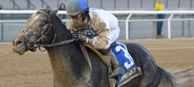 Montauk Traffic Goes Last to First in Jimmy Winkfield S.