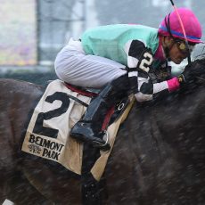 Seymourdini Impresses at Belmont