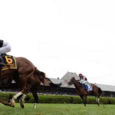 Voodoo Song & ‘Disguise Sisters’ Win NY-Bred Awards