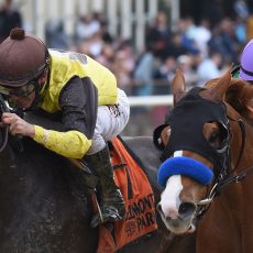 Nicodemus Wins the GIII Westchester S.