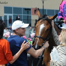 Champion La Verdad Euthanized Due to Colic Complications